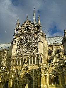 巴黎 NotreDame大教堂蕾丝游客首都石头旅游旅行宗教城市码头假期图片