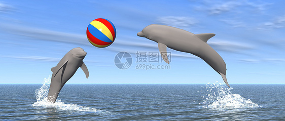 海豚与球交融图片
