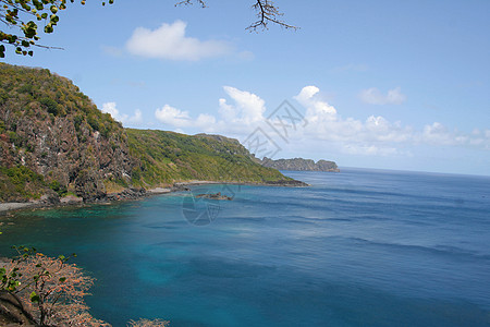 海豚湾海滩蓝色海洋海岸图片