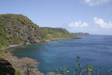 海豚湾海洋蓝色海滩海岸图片