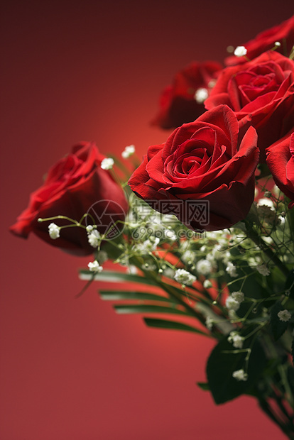 一束红玫瑰玫瑰静物花束香味花瓣红色图片