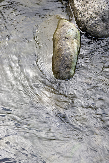 岩石在水中冥想波纹公园溪流图片