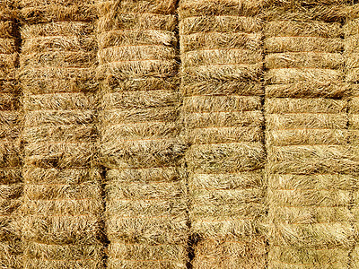 干草的巴莱斯水平农场农业稻草草垛收成图片