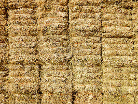 干草的巴莱斯水平农场农业稻草草垛收成图片