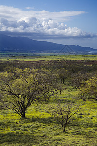 夏威夷毛伊岛假期天线风景自然界鸟瞰图旅行照片图片