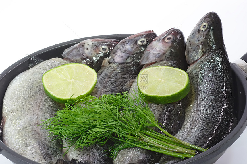 彩虹养殖石灰石平底锅生活鳟鱼眼睛食物营养鱼头海鲜图片
