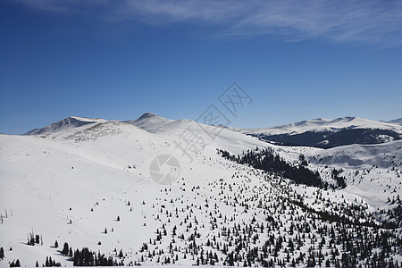 雪山风景树木乡村照片崎岖水平季节气候顶峰旅行图片