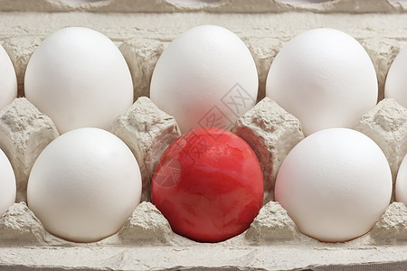 红复活夜鸡蛋饮食厨房营养早餐农场家禽蛋壳蛋黄盒子卵子图片