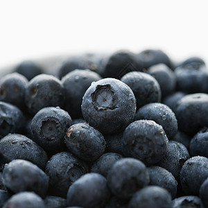 一群蓝莓小组工作室小吃生产静物食物饮食营养水果浆果图片