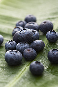 蓝莓水果饮食营养浆果小吃静物食物生产物体图片