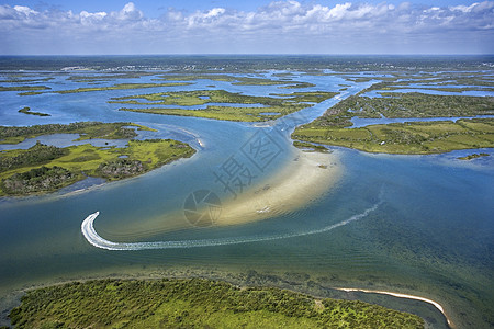 沿海湿地沼泽图片