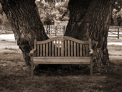 塞皮亚公园长椅图片