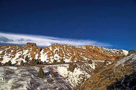 美国红山和降雪图片