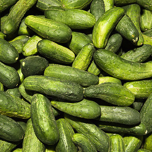 新鲜的黄瓜营养健康食物农贸市场饮食生产赏金农业市场绿色图片