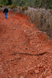 步行走路男人石头小路植被树木红色男性岩石背景图片