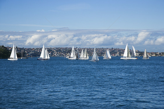 澳大利亚悉尼的帆船图片