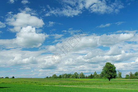 夏季风景绿色场地多云农村蓝色牧场地面季节性地平线乡村图片