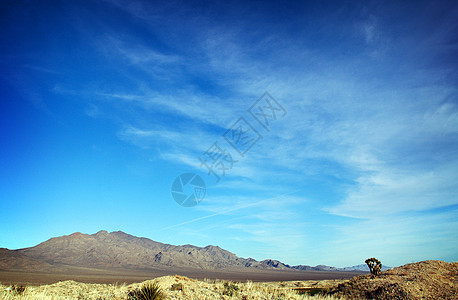 沙漠景观刷子蓝天图片