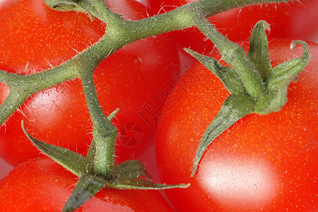 番茄红色食物西红柿绿色植物厨房蔬菜背景图片