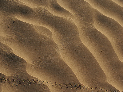 沙灵魂男人海滩沙漠自由脚印海滨通道孤独精神图片
