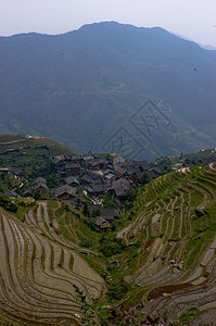 稻田脊台旅行山脉旅游龙神梯田生长地方城市场地图片