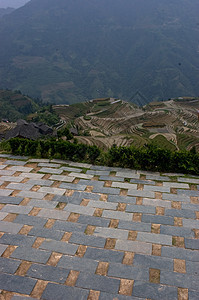 稻田地方场地城市山脉乡村农业旅行脊台梯田龙神图片