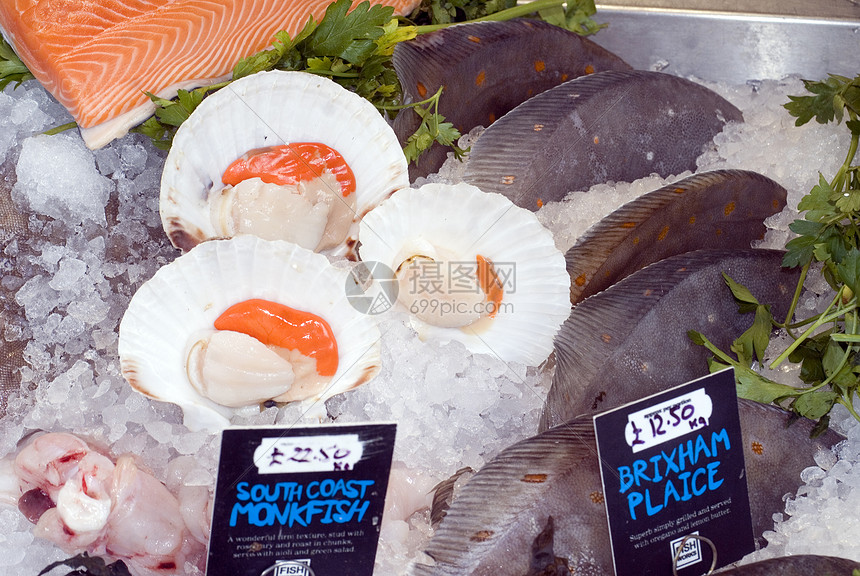 贝壳鱼奢华熟食展示食物市场摊位图片