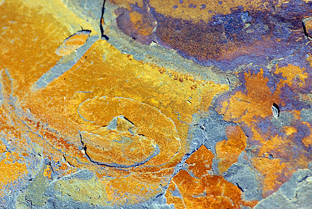 页岩的旗石橙子单线矿物地质学石板苔藓宏观效果质感报告图片