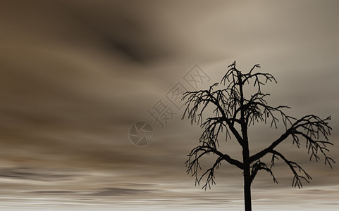 树地平线孤独风暴黑暗木头图片