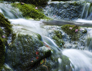 瀑布白水白色急流绿色红色石头岩石溪流苔藓叶子图片