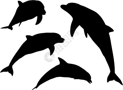 海豚环影生活快乐游泳标识绘画插图合伙哺乳动物卡通片海洋生物插画