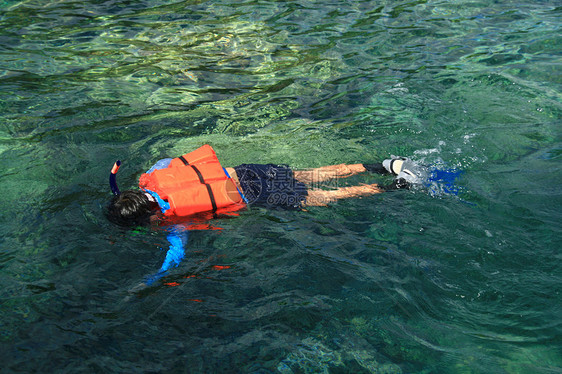 上下滑动闲暇绿色娱乐橙子呼吸管旅行男人夹克晴天游泳图片