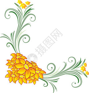 花朵植物群植物插图红花绿色黄色图片