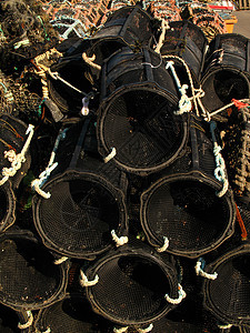 龙虾锅渔业陷阱海鲜海滩海岸螃蟹纱架贝类塑料沿海图片