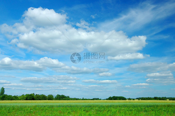 夏季风景季节性地面环境多云地平线草地农场植物群绿色场景图片