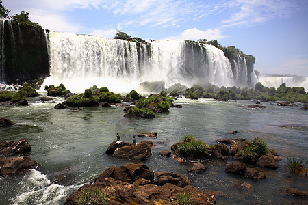 伊瓜苏 Iguazu Iguau 瀑布  大型瀑布绿色淡水流动高度森林荒野岩石图片