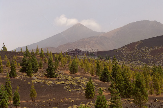 看法孤独天空岩石环境沙漠树木山脉蓝色风景受保护图片