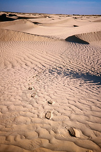 沙漠沙地上的脚印图片