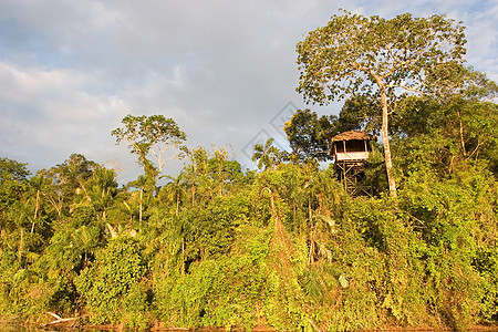 桑多瓦尔湖旅行旅游吸引力小屋黏土森林黑色金刚鹦鹉游客生态旅游图片