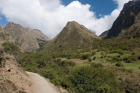 Inca 轨迹疾病踪迹比丘远足村庄热带废墟森林兰花高度图片