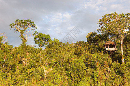 桑多瓦尔湖黏土旅游生态旅游吸引力森林动物金刚鹦鹉丛林游客小屋图片