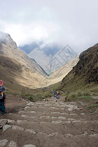 Inca 轨迹踪迹比丘废墟疾病远足村庄马丘森林游客兰花图片