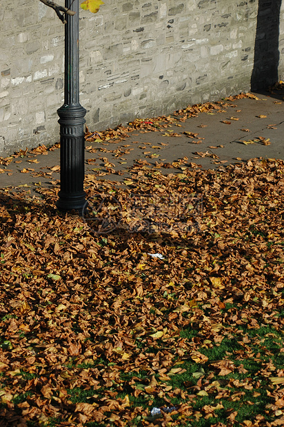 都柏林凤凰公园秋天公园路灯灯柱城市树叶街道景观小路季节性图片