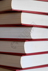 书本阅读百科文学学习语言页数参考教育全书大部头图片