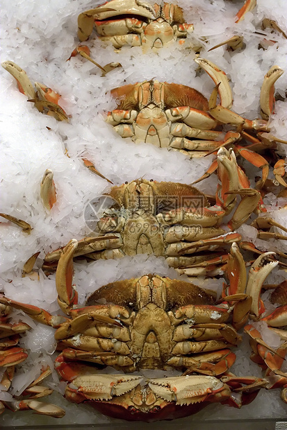 海食品市场     螃蟹图片
