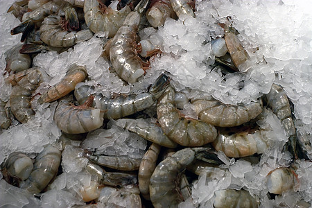 海产食品市场-虾图片