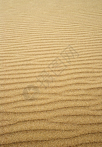 流沙墙纸支撑海岸金子谷物海滩曲线黄色褐色背景图片