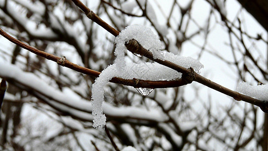 雪雪图片背景图片