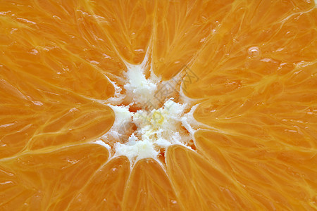 橙子橘子圆形水果营养饮食橙子食物图片