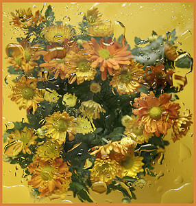 黄花清洁植物菊花植物学植物群花瓣美丽黄色丝绸图片